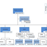Organigramm People's Air Group